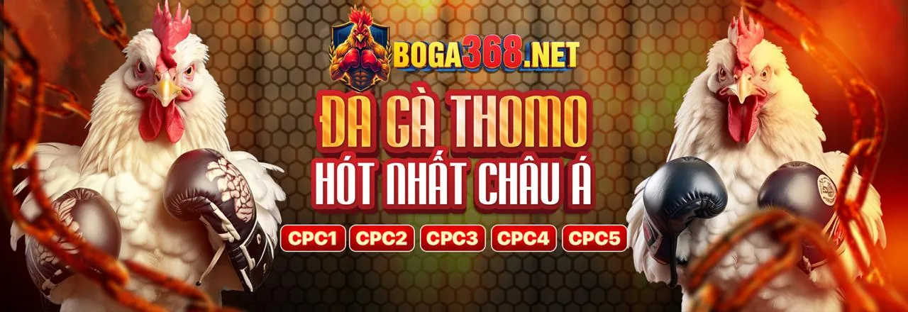 Giao diện cá cược thể thao ae3888 win